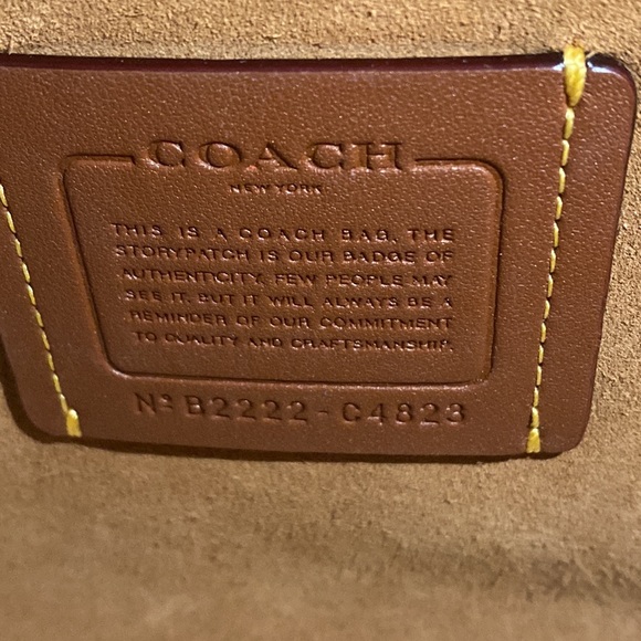 SOLD coach orange/red tabby - Picture 6 of 6